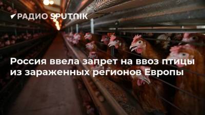 Россия ввела запрет на ввоз птицы из зараженных регионов Европы - smartmoney.one - Италия - Чехия