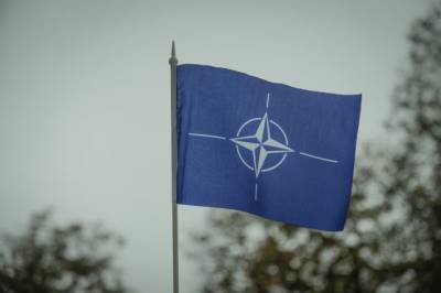 В Эстонии стартовали учения НАТО - aif.ru - Эстония - Литва