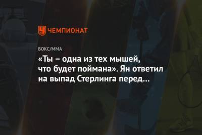 Петр Ян - Алджэмейн Стерлинг - «Ты – одна из тех мышей, что будет поймана». Ян ответил на выпад Стерлинга перед UFC 259 - championat.com - Англия