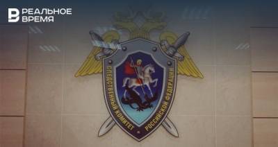 В Татарстане возбудили уголовное дело после убийства матерью 6-летнего сына - realnoevremya.ru - респ. Татарстан - район Зеленодольский