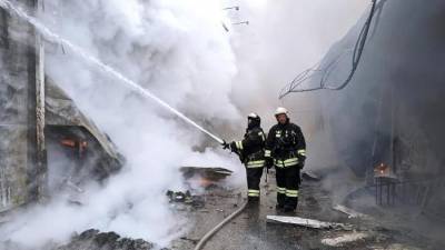 МЧС сообщило о выросшем числе погибших в пожарах - iz.ru - округ Сибирский