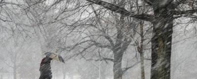 В Омской области объявили штормовое предупреждение - runews24.ru - Омская обл.