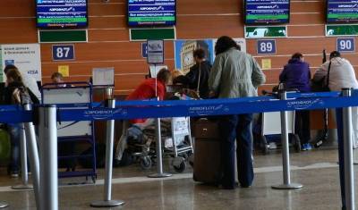 Михаил Демин - «Аэрофлот» предложил брать плату с пассажиров за регистрацию - newizv.ru