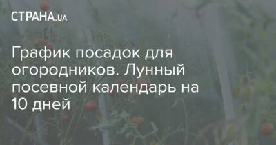 График посадок для огородников. Лунный посевной календарь на 10 дней - strana.ua