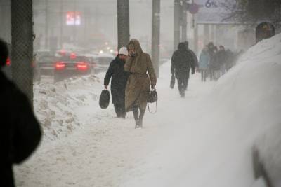 В Новосибирске объявили предупреждение из-за шквального ветра и резкого потепления - novos.mk.ru - Новосибирск