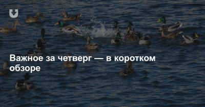 Атаки мошенников, запись от BYPOL, письмо медиков, приговор физруку и где отдохнуть — все за вчера - news.tut.by - Чечерск