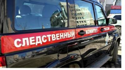 СК проверит завод под Петербургом, на котором нашли мертвого рабочего - piter.tv - Санкт-Петербург - Отрадное - Следственный Комитет