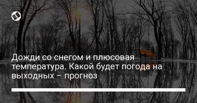Дожди со снегом и плюсовая температура. Какой будет погода на выходных – прогноз - liga.net