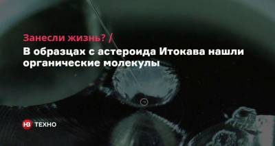 Занесли жизнь? В образцах с астероида Итокава нашли органические молекулы - nv.ua - Япония