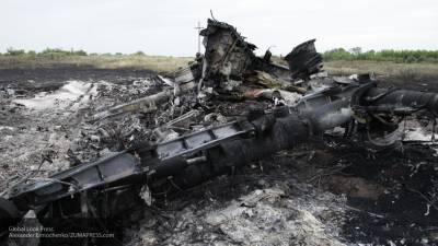 Нидерландское правительство обвинили в сокрытии документов по делу MH17 - newinform.com - Голландия