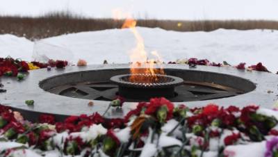 В Ленобласти начали готовиться к уникальной поисковой операции - neva.today - Ленинградская обл. - Санкт-Петербург - район Лужский
