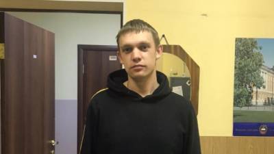 Владелец "Рено" в Петербурге инсценировал угон своей иномарки для получения страховки - piter.tv - Санкт-Петербург