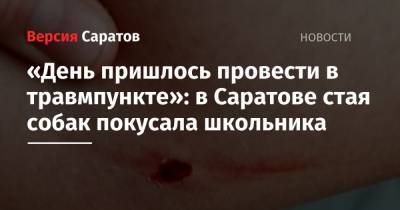 «День пришлось провести в травмпункте»: в Саратове стая собак покусала школьника - nversia.ru - Саратов