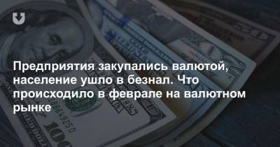 Предприятия закупались валютой, население ушло в безнал. Что происходило в феврале на валютном рынке - news.tut.by