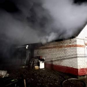 В Запорожском районе горел жилой дом. Фото - reporter-ua.com - Запорожская обл. - Запорожье - Гсчс