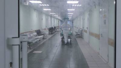 Мать и дочь попали в больницу после удара током в Липецке - nation-news.ru - Москва - Липецк