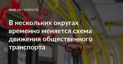 В нескольких округах временно меняется схема движения общественного транспорта - mos.ru - Москва