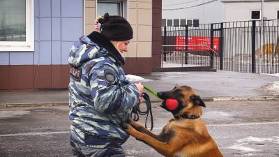Как женщины-кинологи раскрывают преступления вместе с четвероногими напарниками. - riafan.ru - Ленинградская обл. - Санкт-Петербург