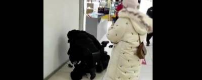 Красноярская полиция объяснила жесткое задержание мужчины без маски в ТЦ - runews24.ru - Красноярск