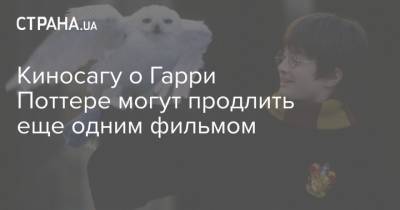Гарри Поттер - Джоан Роулинг - Киносагу о Гарри Поттере могут продлить еще одним фильмом - strana.ua