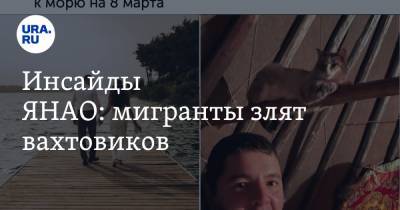 Инсайды ЯНАО: мигранты злят вахтовиков - ura.news - окр. Янао - Салехарда