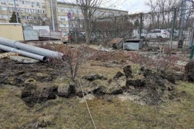 Сергей Галицкий - Глава Краснодара отреагировал на жалобы о разрушении бульвара - kuban.mk.ru - Краснодар