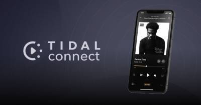 Джон Дорси - Создатель Twitter купит контрольный пакет акций музыкального сервиса Tidal - focus.ua - Twitter