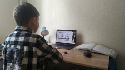 В нескольких школах башкирского Зауралья школьников перевели на дистанционку - ufacitynews.ru - Башкирия - район Зилаирский