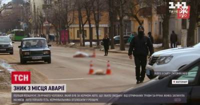 В Житомирской области водитель на переходе насмерть сбил женщину с двумя собаками и убежал без остановки - tsn.ua - Киев - Житомирская обл.
