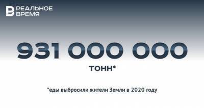 931 млн тонн выброшенной за год еды — это много или мало? - realnoevremya.ru - респ. Татарстан