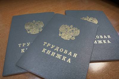 Минтруд актуализирует правила ведения трудовых книжек - pnp.ru