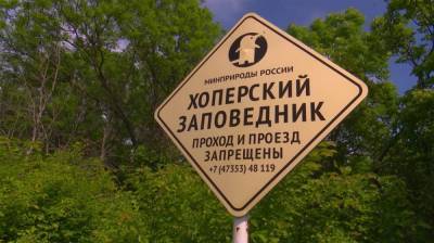 В Воронежской области получили редчайшие кадры из жизни русской выхухоли - vestivrn.ru - Воронежская обл.