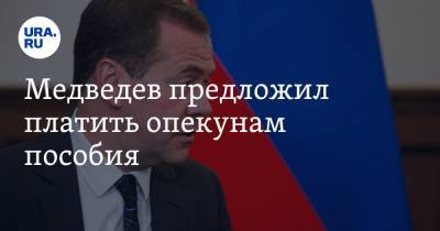 Дмитрий Медведев - Медведев предложил платить опекунам пособия - ura.news