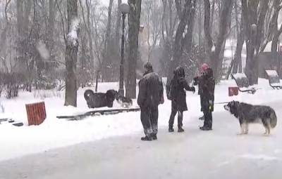 Снег и морозы возвращаются в Украину, непогода накроет не одну область: когда ждать стихии - sport.politeka.net - Киев