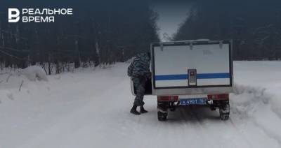 Александр Коновалов - Под Казанью нашли потерявшегося в лесу пенсионера - realnoevremya.ru - респ. Татарстан - Казань - Зеленодольск - Волжск