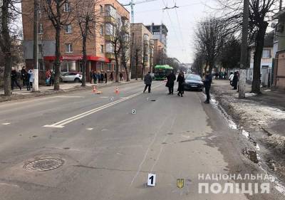 В Житомире водитель сбил женщину с собаками и сбежал - news.bigmir.net - Житомирская обл. - Житомир