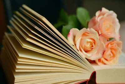 Ольга Фреймут - Книги на 8 Марта: от кулинарных историй Ольги Фреймут до всей правды про оргазм - kp.ua