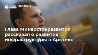 Алексей Чекунков - Глава Минвостокразвития рассказал о развитие инфраструктуры в Арктике - realty.ria.ru - Москва - Арктика