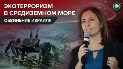 Ливан обвинил Израиль в экотерроризме из-за разлива нефти в Средиземном море - riafan.ru - Тель-Авив - Ливан - Бейрут
