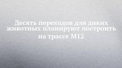 Десять переходов для диких животных планируют построить на трассе М12 - chelny-izvest.ru - респ. Татарстан