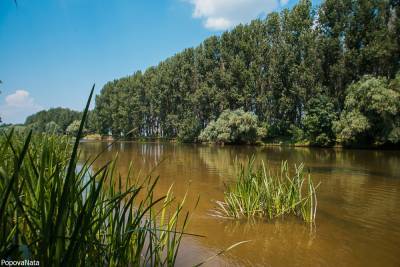 Астраханское село осталось без воды из-за обрушившегося берега - ast.mk.ru - Астраханская обл.