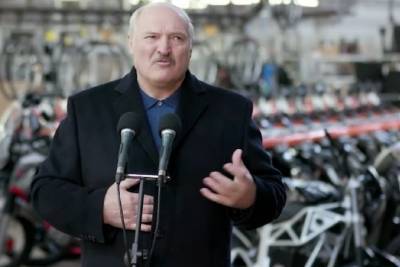 Александр Лукашенко - Лукашенко рассказал о своих дворце и миллиардах - mk.ru - г. Александрия