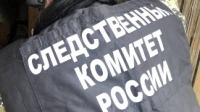 Олег Никитин - Житель Бердска пойдет под суд за избиение 81-летней женщины на костылях - nation-news.ru - Новосибирская обл. - Бердск