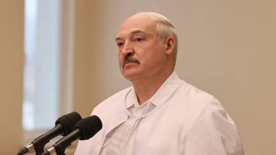 Александр Лукашенко - Лукашенко рассказал о пресечении деятельности новой террористической группы в стране - nation-news.ru