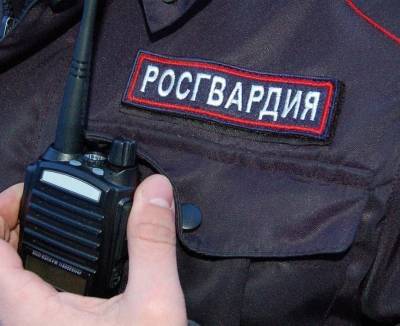 В Новой Майне мужчина зашел в гости и разжился сотовым телефоном - ulpravda.ru - Ульяновская - Димитровград