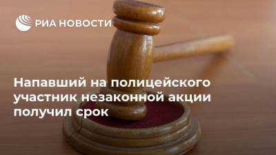 Напавший на полицейского участник незаконной акции получил срок - ria.ru - Россия - Владимирская обл. - Рязань