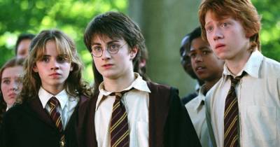 Гарри Поттер - Джоан Роулинг - Warner Bros. анонсировали вероятность выхода продолжения саги о Гарри Поттере - klops.ru
