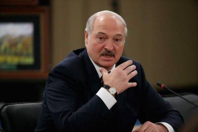 Лукашенко рассказал, что никаких дворцов у него нет и в помине - apral.ru