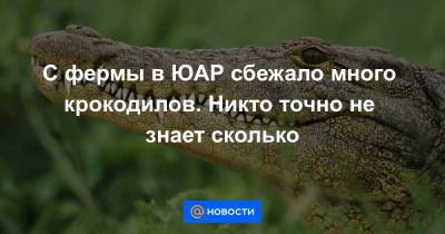С фермы в ЮАР сбежало много крокодилов. Никто точно не знает сколько - news.mail.ru - Юар