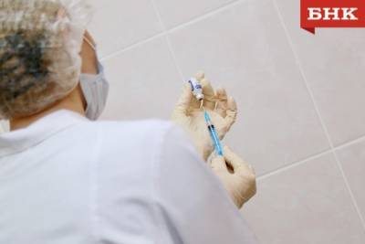 Татьяна Голикова - Владимир Уйба - В Коми прививкой защитили от ковида 20 тысяч человек - bnkomi.ru - респ. Коми